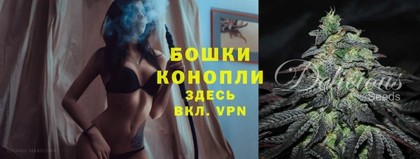 индика Нязепетровск