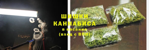 индика Нязепетровск