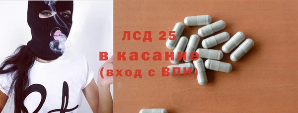 индика Нязепетровск
