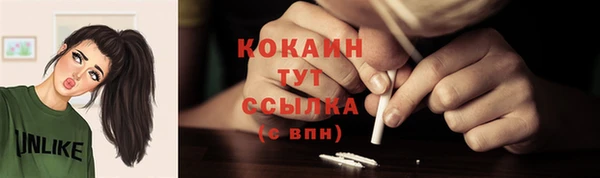 mdpv Няндома